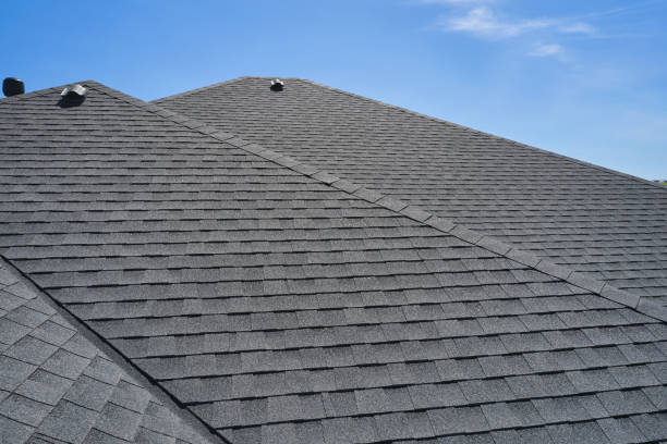 Best Sheet Metal Roofing  in Deridder, LA